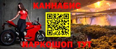 спиды Кимры