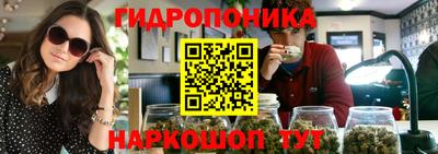 спиды Кимры